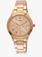 Timex Tw000q810 Golden/Golden Analog Watch