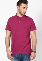 Tommy Hilfiger Pink Half Sleeve Polo T-Shirts