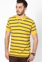 Tommy Hilfiger Yellow Curry / Navy Blazer-Pt Half Sleeve Polo T-Shirts