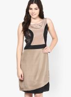 Athena Brown Colored Solid Shift Dress