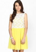 Besiva Yellow Colored Embroidered Skater Dress