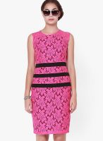 NINETEEN Pink Colored Solid Shift Dress