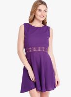 Anaphora Purple Colored Embroidered Skater Dress