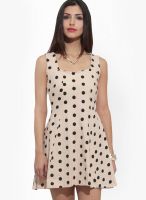 Faballey Cream Colored Printed Skater Dress