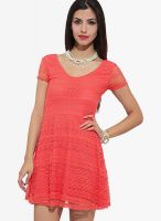 Faballey Orange Colored Embroidered Shift Dress