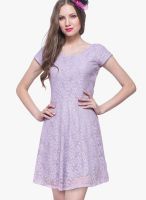 Faballey Purple Colored Embroidered Skater Dress