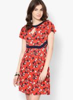 French Connection Orange Colored Printed Skater Dress