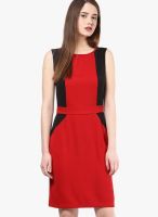 The Vanca Red Colored Solid Bodycon Dress