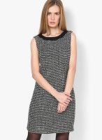 s.Oliver Black Colored Solid Shift Dress