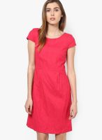 s.Oliver Pink Colored Solid Shift Dress