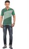 AMX_Striped_Men_s_Polo_Neck_T_Shirt_1.jpg