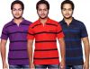 Fanatic_Striped_Men_s_Polo_Neck_T_S_1.jpg
