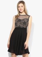 Calgari Black Colored Solid Skater Dress