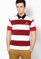 Duke Maroon Striped Polo T-Shirts