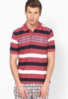 Nautica Red Striped Polo T-Shirts