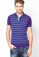 Park Avenue Violet Indigo Slim Fit Polo T Shirt