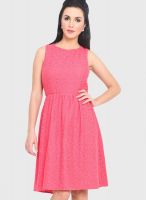 Phenomena Pink Colored Printed Skater Dress