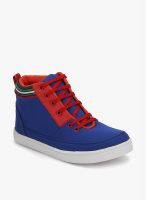 Z Collection Blue Lifestyle Shoes