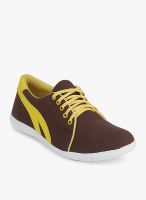 Z Collection Brown Lifestyle Shoes