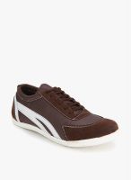 Z Collection Brown Lifestyle Shoes