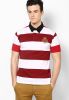 Duke_Maroon_Striped_Polo_T_Shirts.jpg