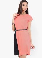 109F Peach Colored Solid Skater Dress