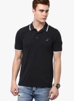 American Crew Black Solid Polo T-Shirts