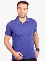 Fitz Purple Solid Polo T-Shirt