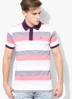 Izod Pink Striped Polo T-Shirts