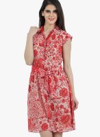 Mineral Red Colored Printed Skater Dress