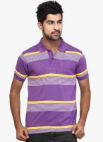 Orange Valley Purple Striped Polo T-Shirt