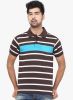 Orange_Valley_Brown_Striped_Polo_T__3.jpg