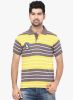 Orange_Valley_Grey_Striped_Polo_T_S_6.jpg