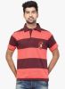 Orange_Valley_Maroon_Striped_Polo_T_2.jpg