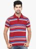 Orange_Valley_Red_Striped_Polo_T_Sh_2.jpg