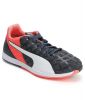 Puma_Speed_Nightcat_Black_Sports_Sh_1.jpg
