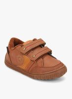 Airwalk Brown Sneakers