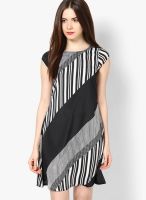 Calgari Black Colored Printed Shift Dress