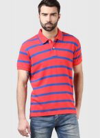 Code by Lifestyle Pink Polo T-Shirt