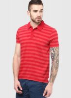 Fame Forever By Lifestyle Red Polo T-Shirt