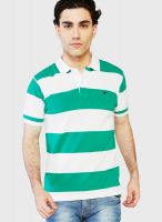 Globus Green Striped Polo T-Shirts