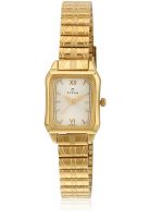 Titan NE2488YM02 Golden/Two Tone Analog Watch