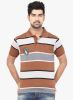 Orange_Valley_Brown_Striped_Polo_T_.jpg