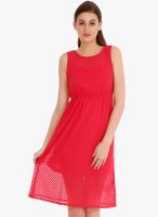 109F Pink Solid Shift Dress