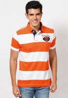 Basics Orange Striped Polo T-Shirts
