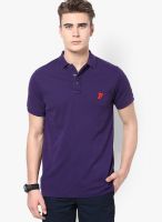 French Connection Purple Solid Polo T-Shirts