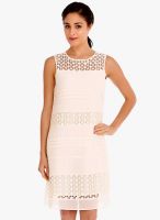 Fusion Beats Beige Colored Solid Shift Dress