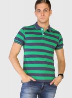 Globus Green Striped Polo T-Shirts