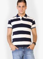 Globus White Striped Polo T-Shirts