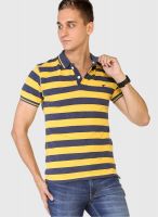 Globus Yellow Striped Polo T-Shirts